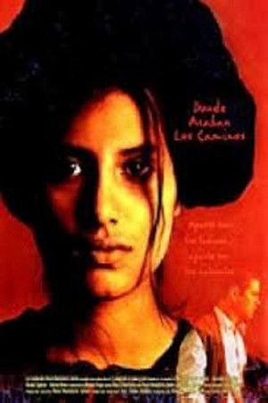 DONDE ACABAN LOS CAMINOS